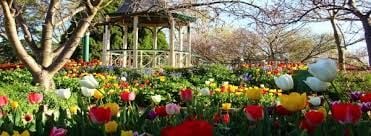 Connect Coaches Garden Tours Image -62b992c1434f2